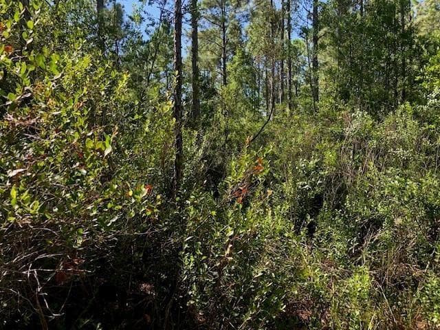 0 Old Grade Road, FL 33868 — photo