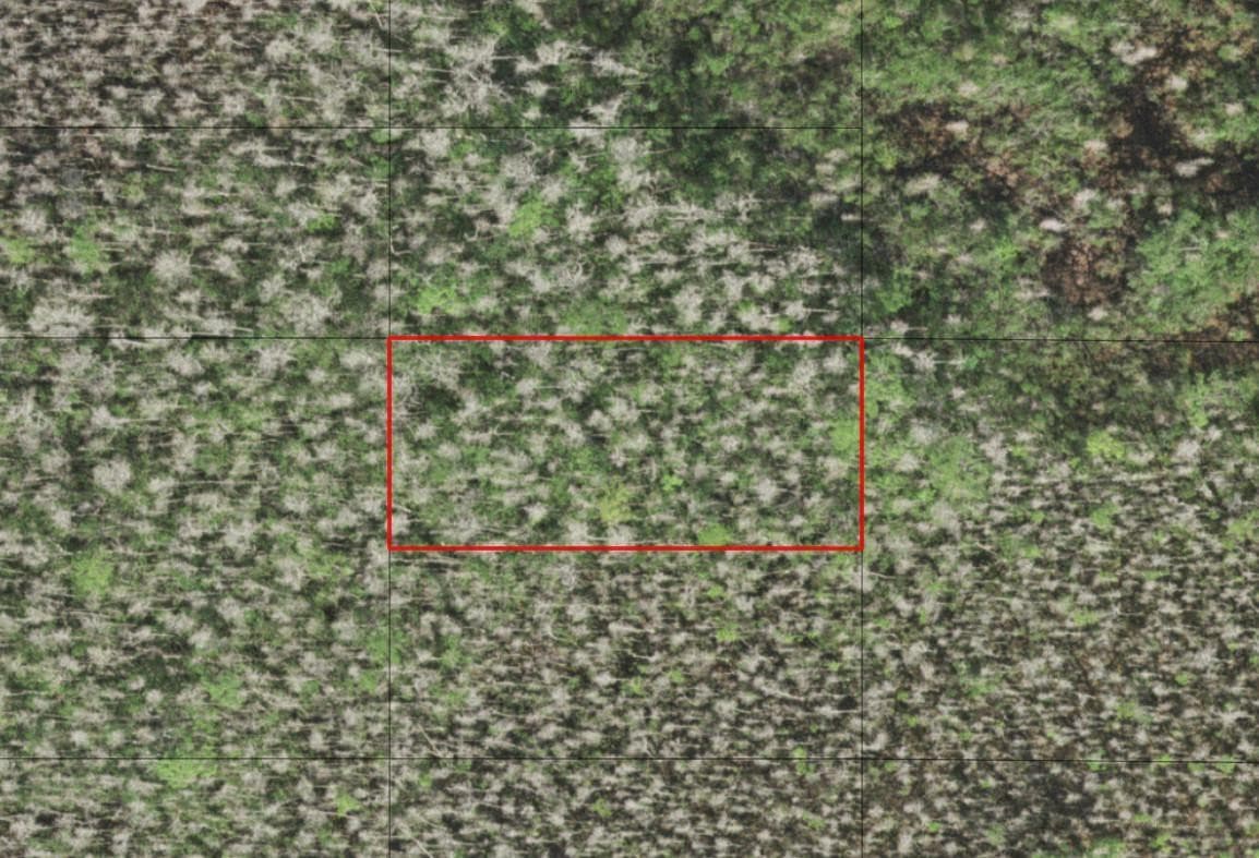 0 Holopaw Groves Road, St. Cloud, FL 34772 — photo 1 of 1