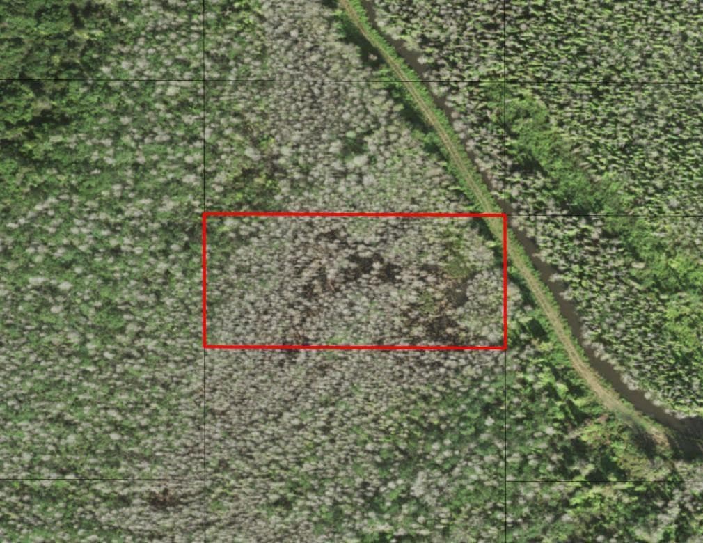 0 Holopaw Groves Road, St. Cloud, FL 34772 — photo