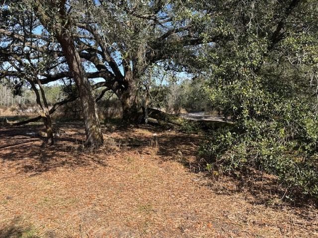 0 County Rd 54, Kathleen, FL 33849 — photo 1 of 4
