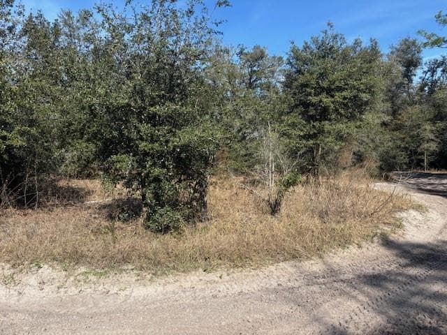 0 County Rd 54, Kathleen, FL 33849 — photo 2 of 4
