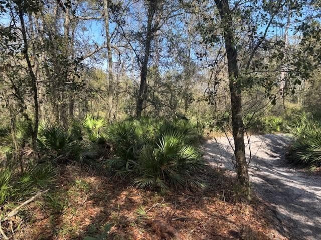 0 County Rd 54, Kathleen, FL 33849 — photo 1 of 4