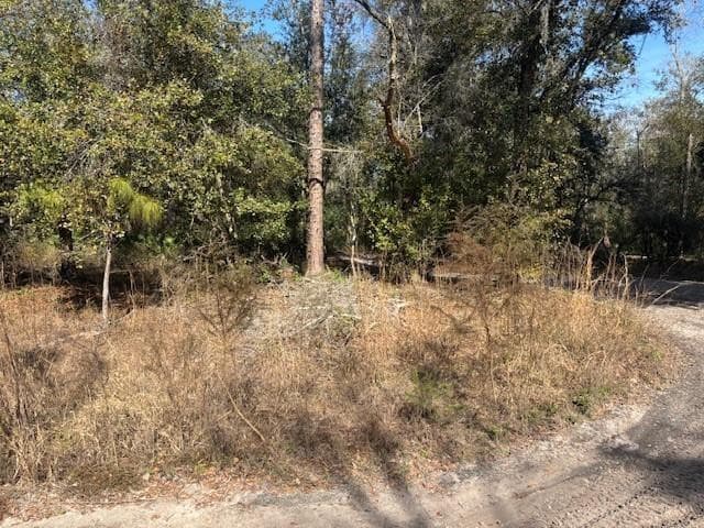 0 County Rd 54, Kathleen, FL 33849 — photo 2 of 4