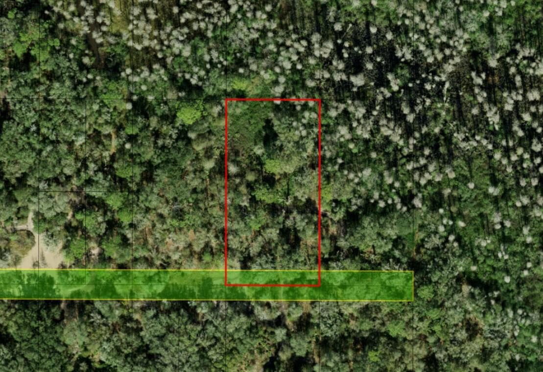 0 County Rd 54, Kathleen, FL 33849 — photo 4 of 4
