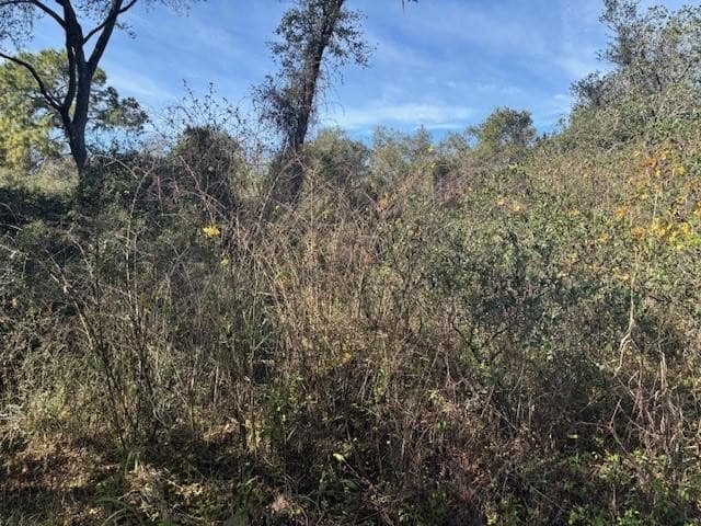 0 County Rd 54, Kathleen, FL 33849 — photo