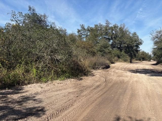 0 County Rd 54, Kathleen, FL 33849 — photo 3 of 4