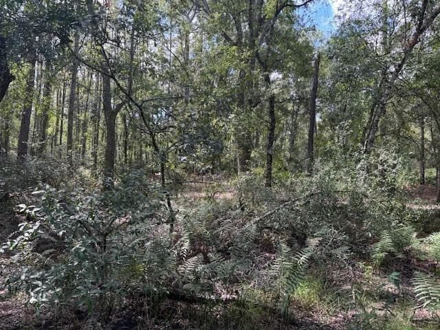 0 County Rd 54, Kathleen, FL 33849 — photo 2 of 4