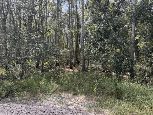 0 County Rd 54, Kathleen, FL 33849 — photo