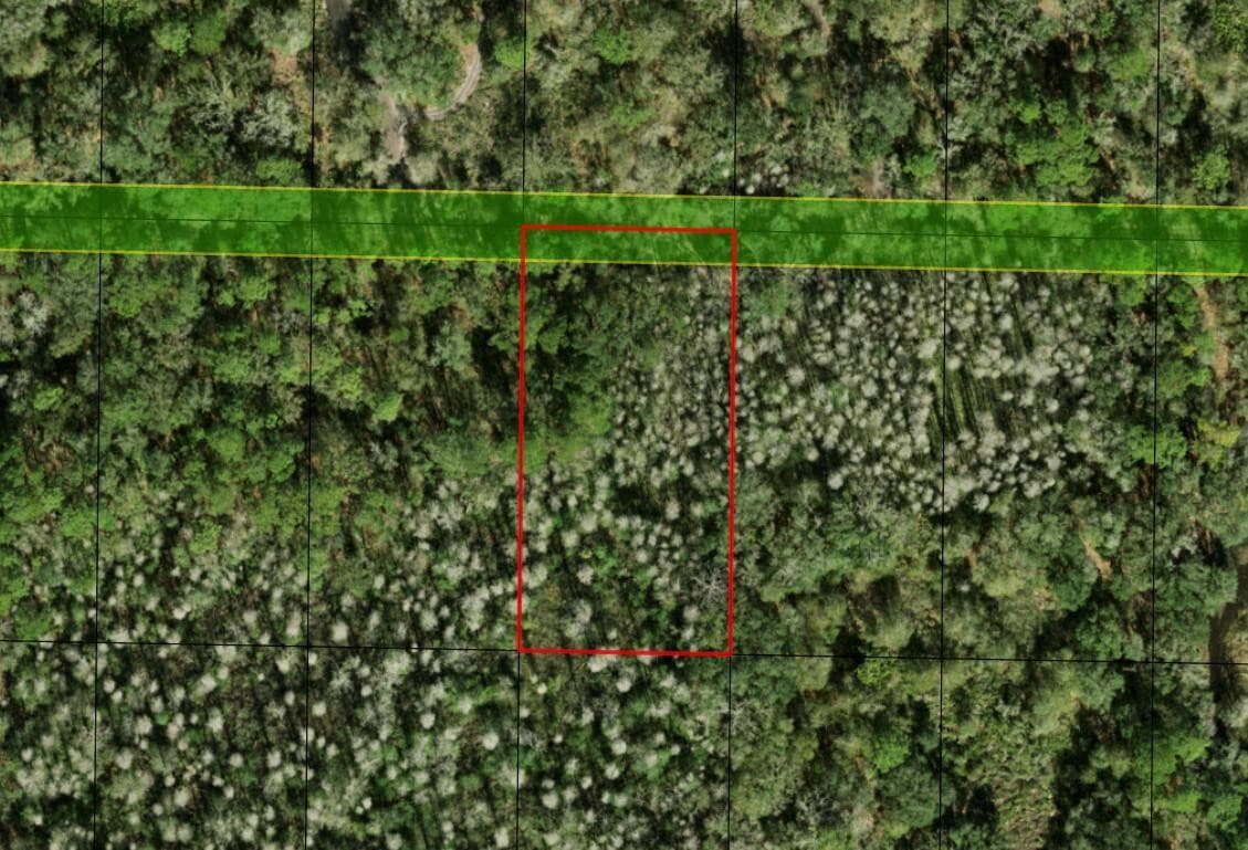 0 County Rd 54, Kathleen, FL 33849 — photo 4 of 4