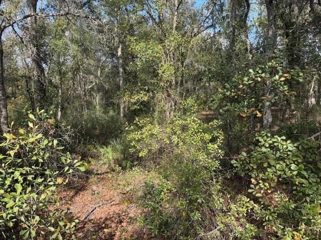 0 County Rd 54, Kathleen, FL 33849 — photo 2 of 3