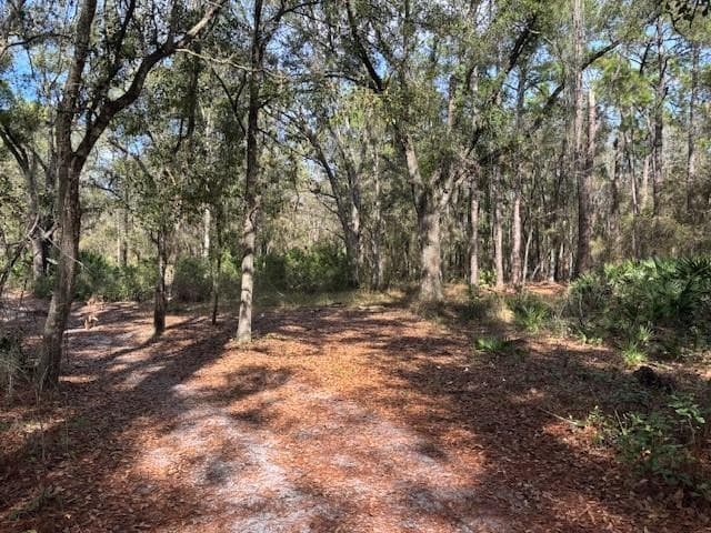 0 County Rd 54, Kathleen, FL 33849 — photo