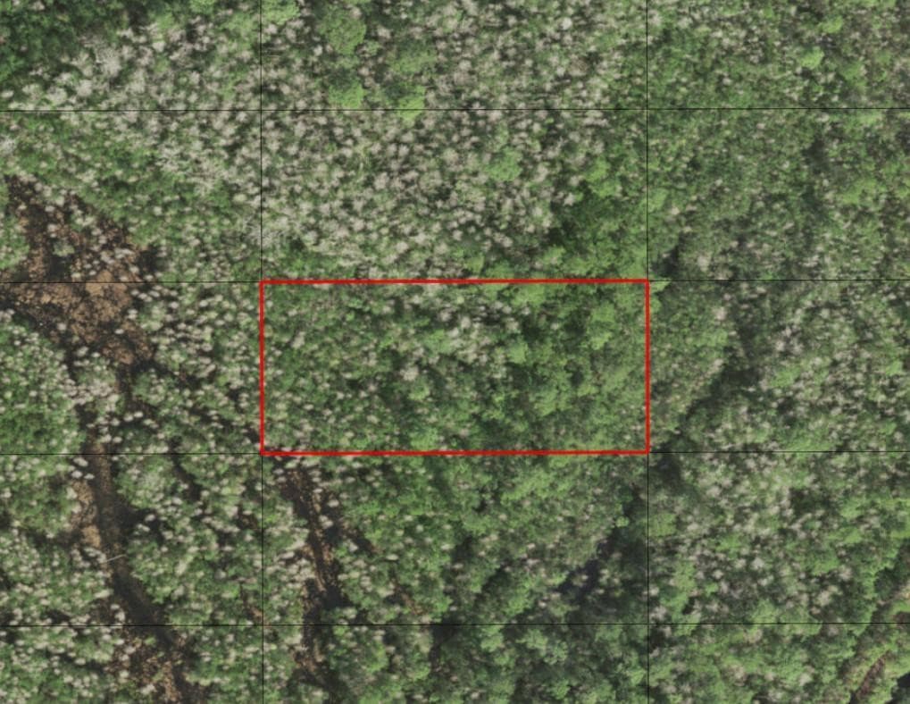0 Holopaw Groves Road, St. Cloud, FL 34772 — photo 1 of 1