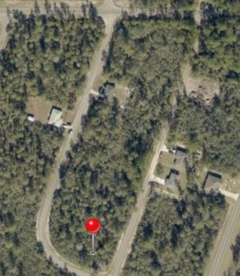 TBD FISHER WAY TRACK Tbd Fisher Way Track Fisher Way, Ocklawaha, FL 32179 — photo 2 of 4