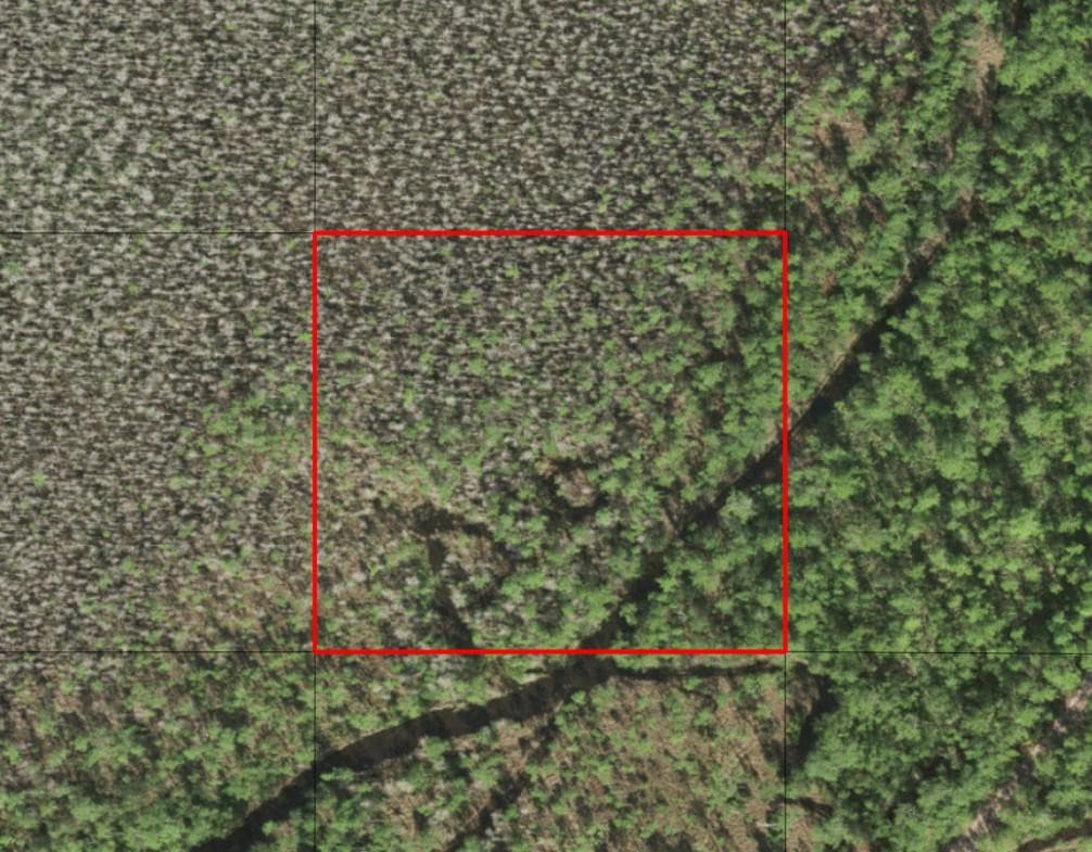 0 Holopaw Groves Road, St. Cloud, FL 34772 — photo 2 of 2