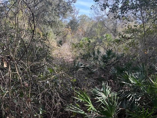 0 County Rd 54, Kathleen, FL 33849 — photo