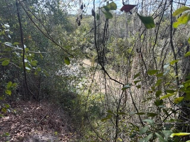 0 County Rd 54, Kathleen, FL 33849 — photo 2 of 3