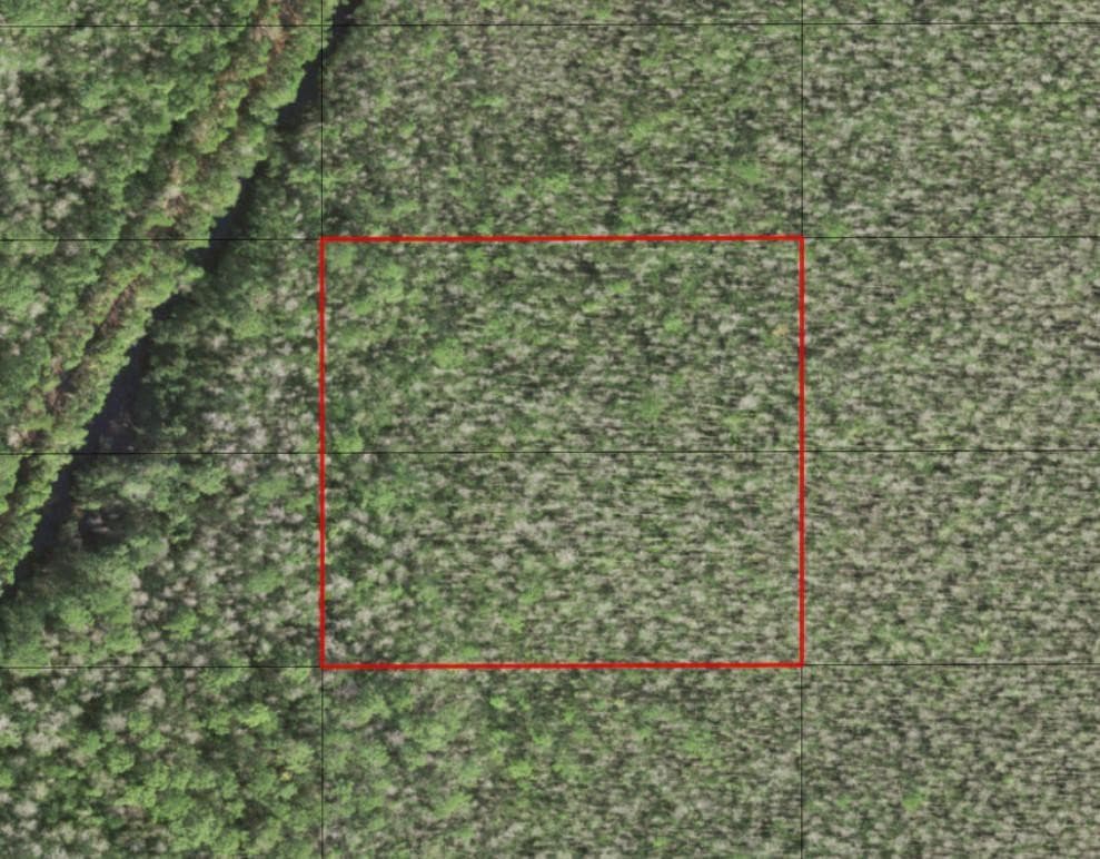 0 Holopaw Groves Road, St. Cloud, FL 34772 — photo