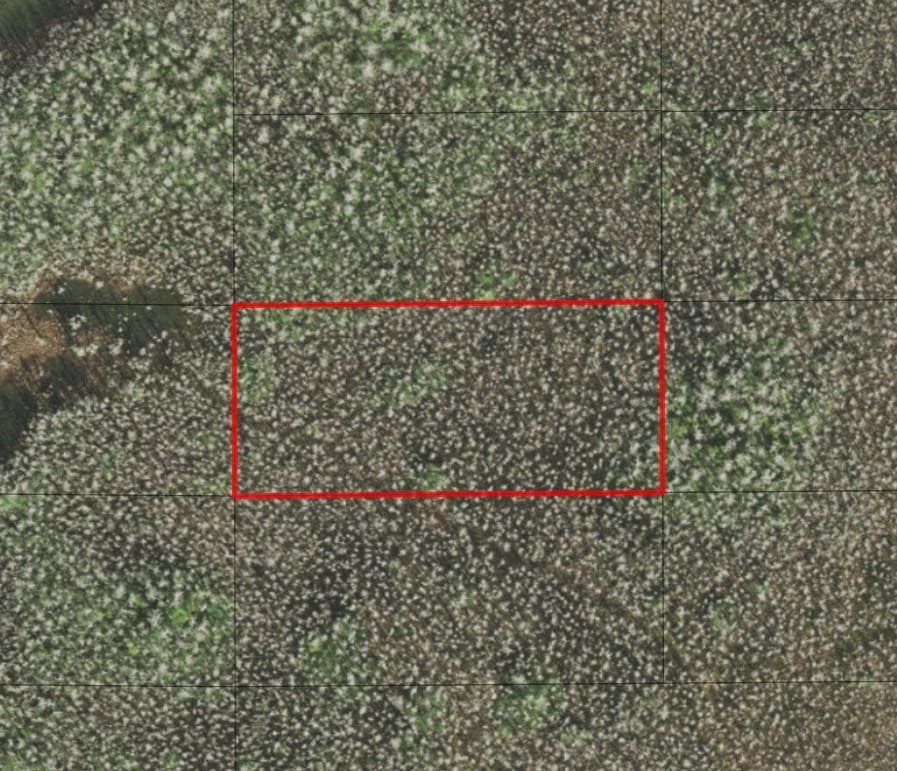 0 Holopaw Groves Road, St. Cloud, FL 34772 — photo 1 of 1