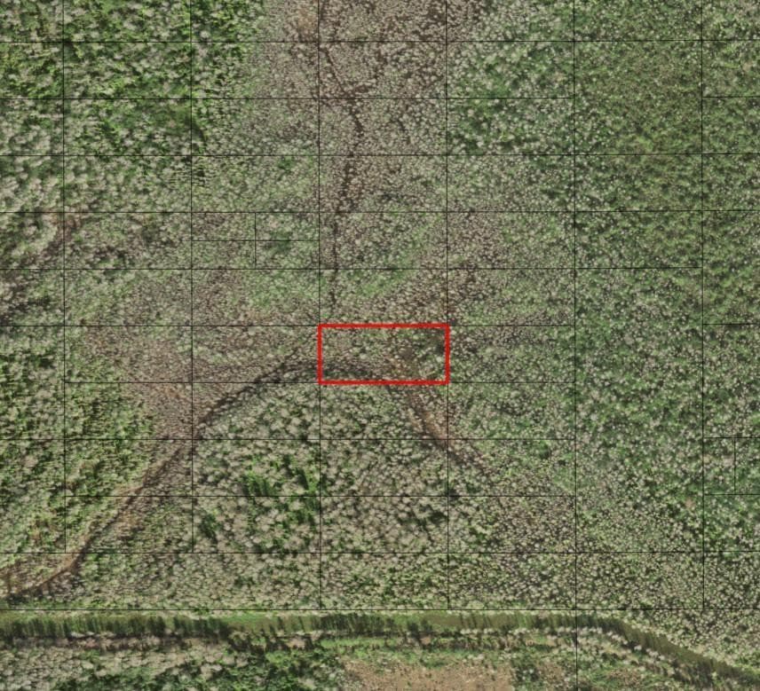 0 Holopaw Groves Road, St. Cloud, FL 34772 — photo 1 of 1
