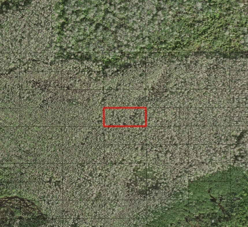 0 Holopaw Groves Road, St. Cloud, FL 34772 — photo 1 of 1