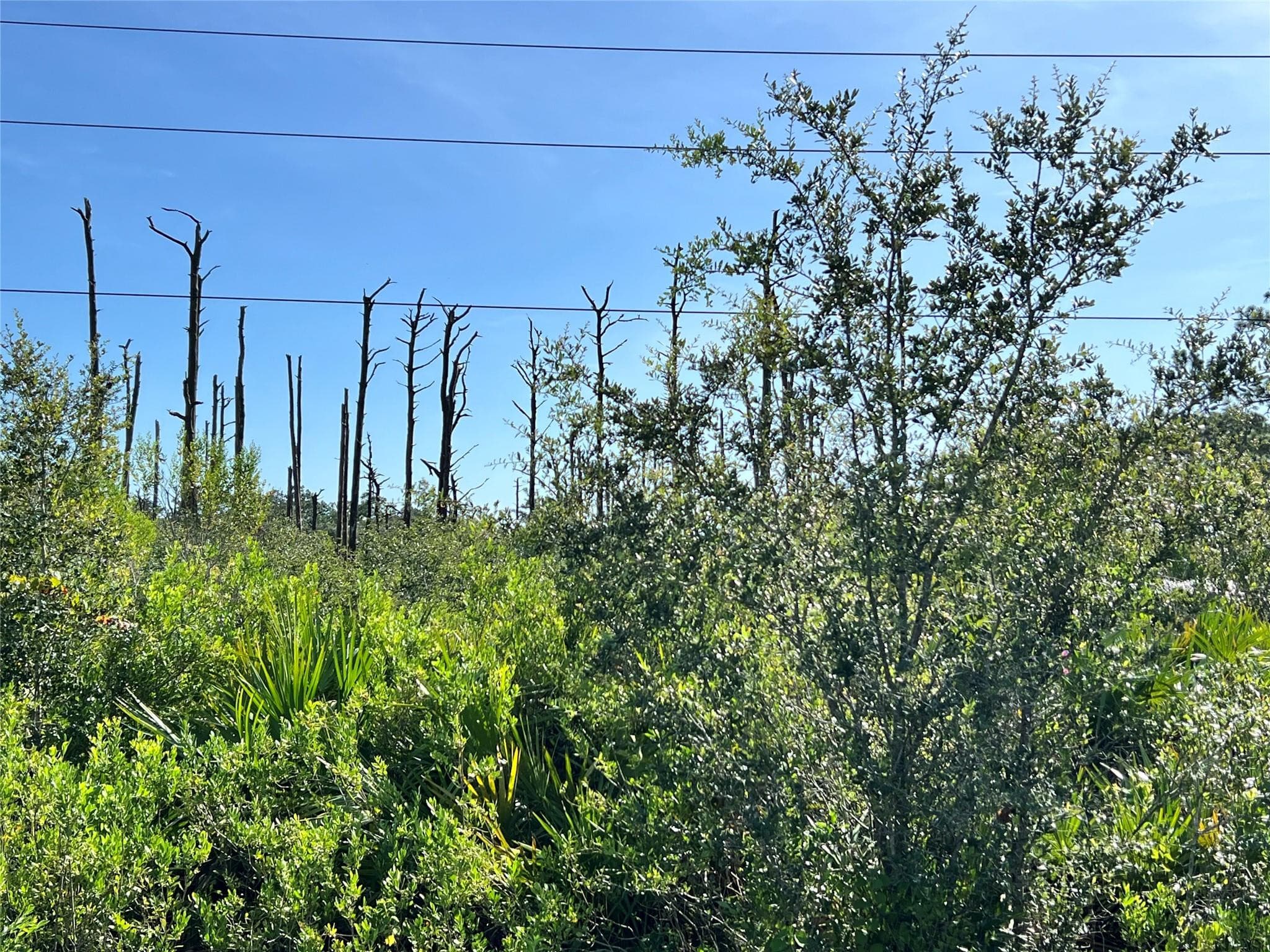 34964 N Hwy 441, Okeechobee, FL 34972 — photo 1 of 6