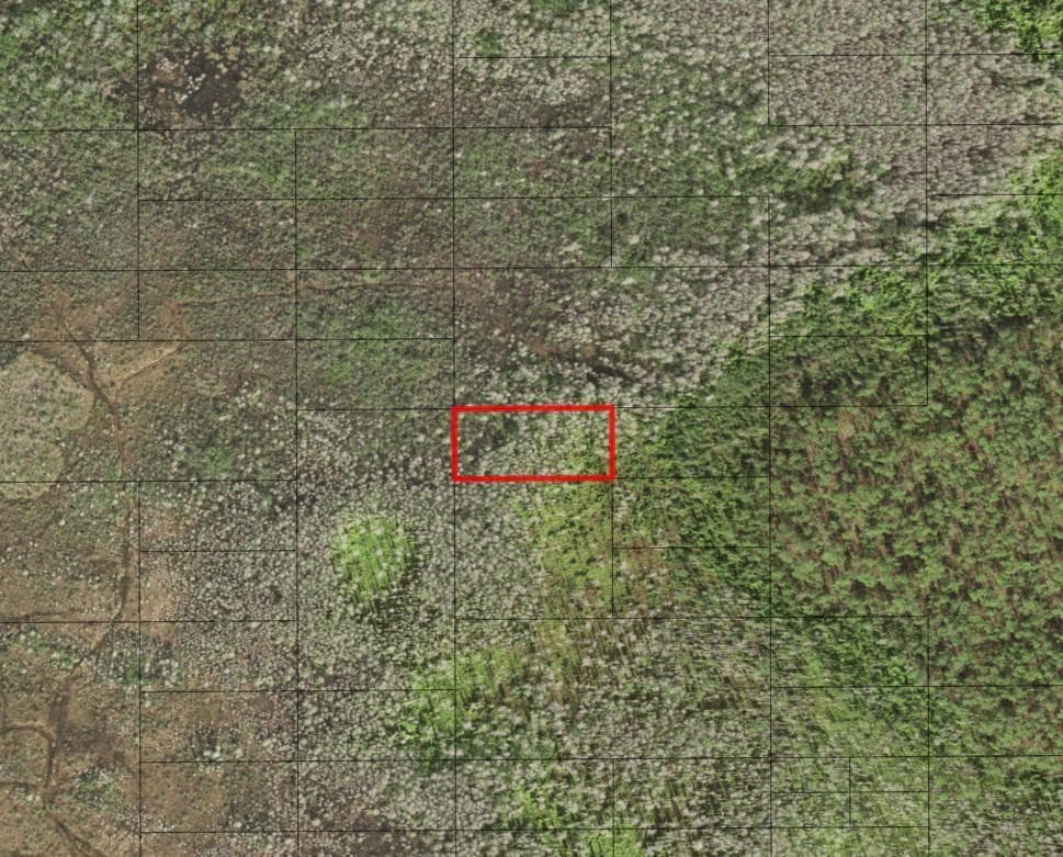 0 Holopaw Groves Road, St. Cloud, FL 34772 — photo 1 of 1