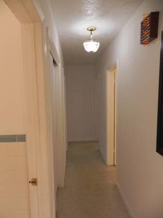 819 N Highland Drive, Hollywood, FL 33021 — photo 15 of 22