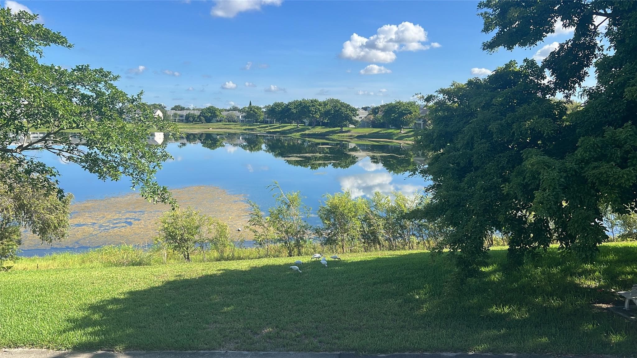 3421 NW 44th Street 205, Lauderdale Lakes, FL 33309 — photo 5 of 50