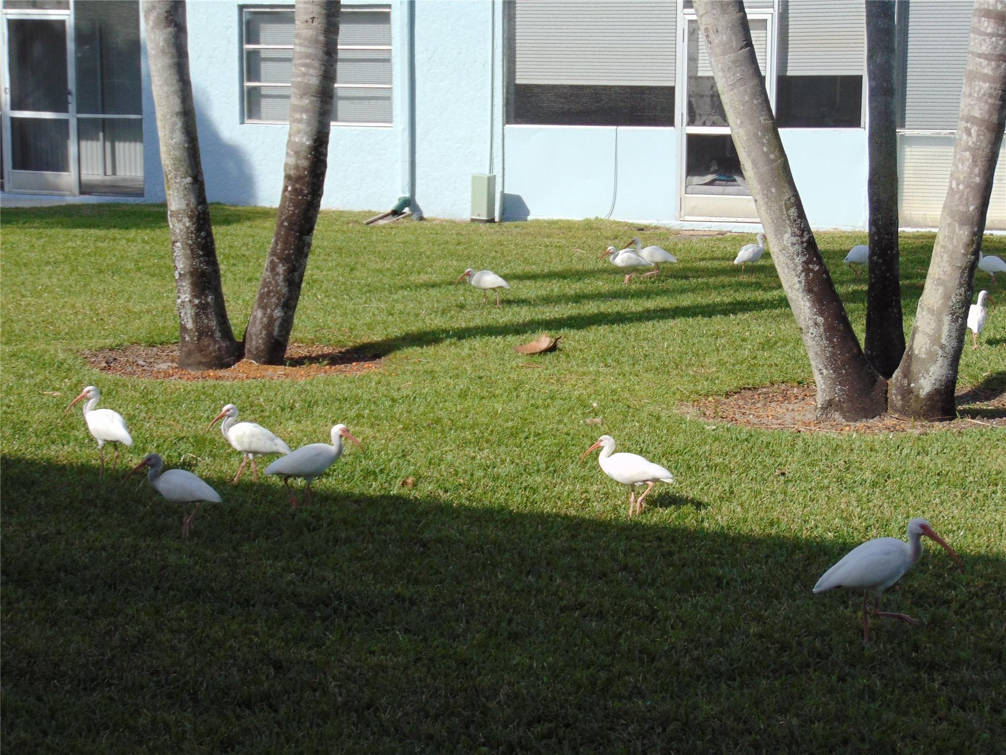 9788 Marina Boulevard 313, Boca Raton, FL 33428 — photo 57 of 66