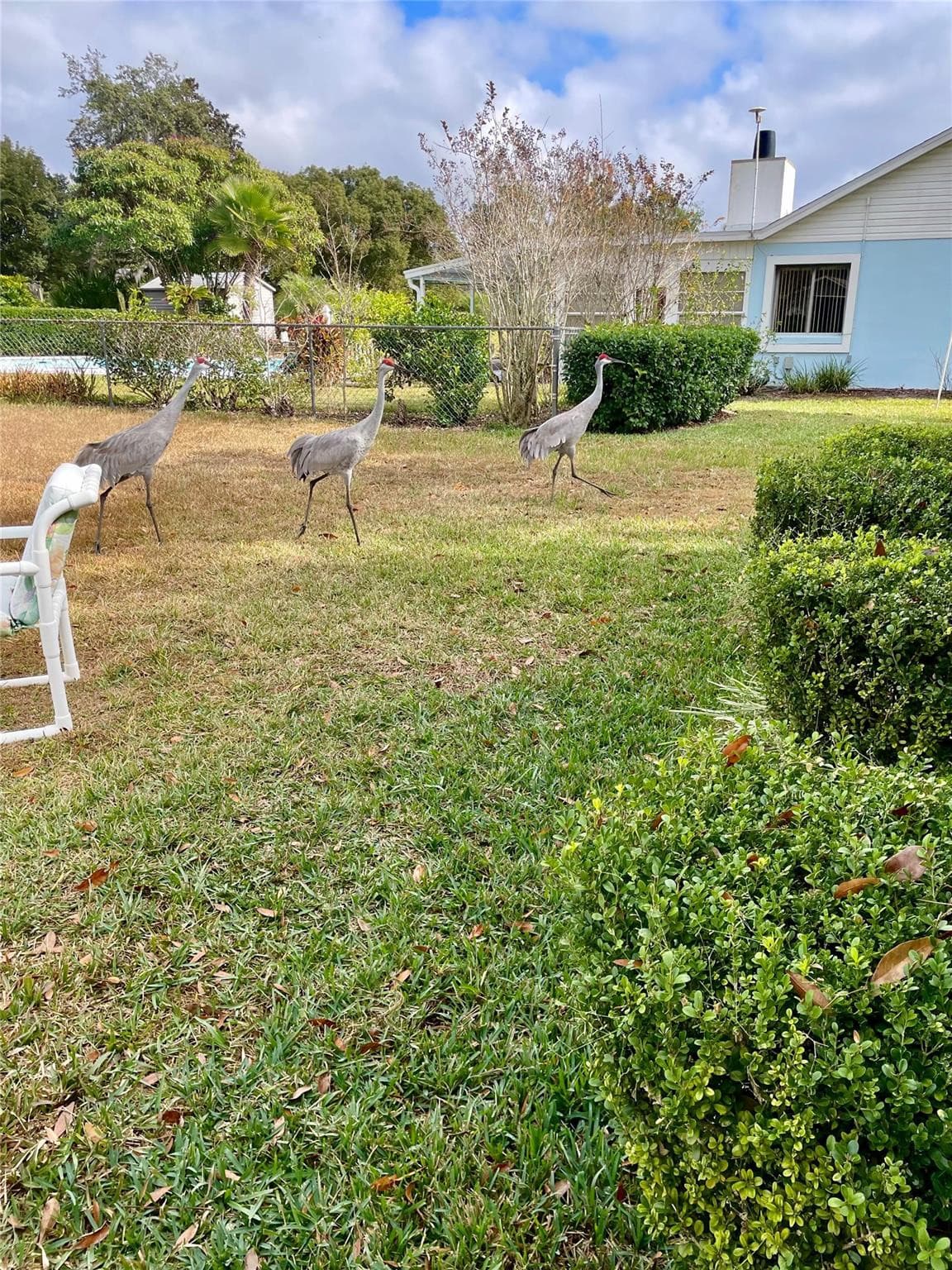 3401 Divot Road, Sebring, FL 33872 — photo 27 of 30