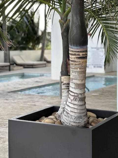 1040 Biscayne Boulevard 3003, Miami, FL 33132 — photo 10 of 11