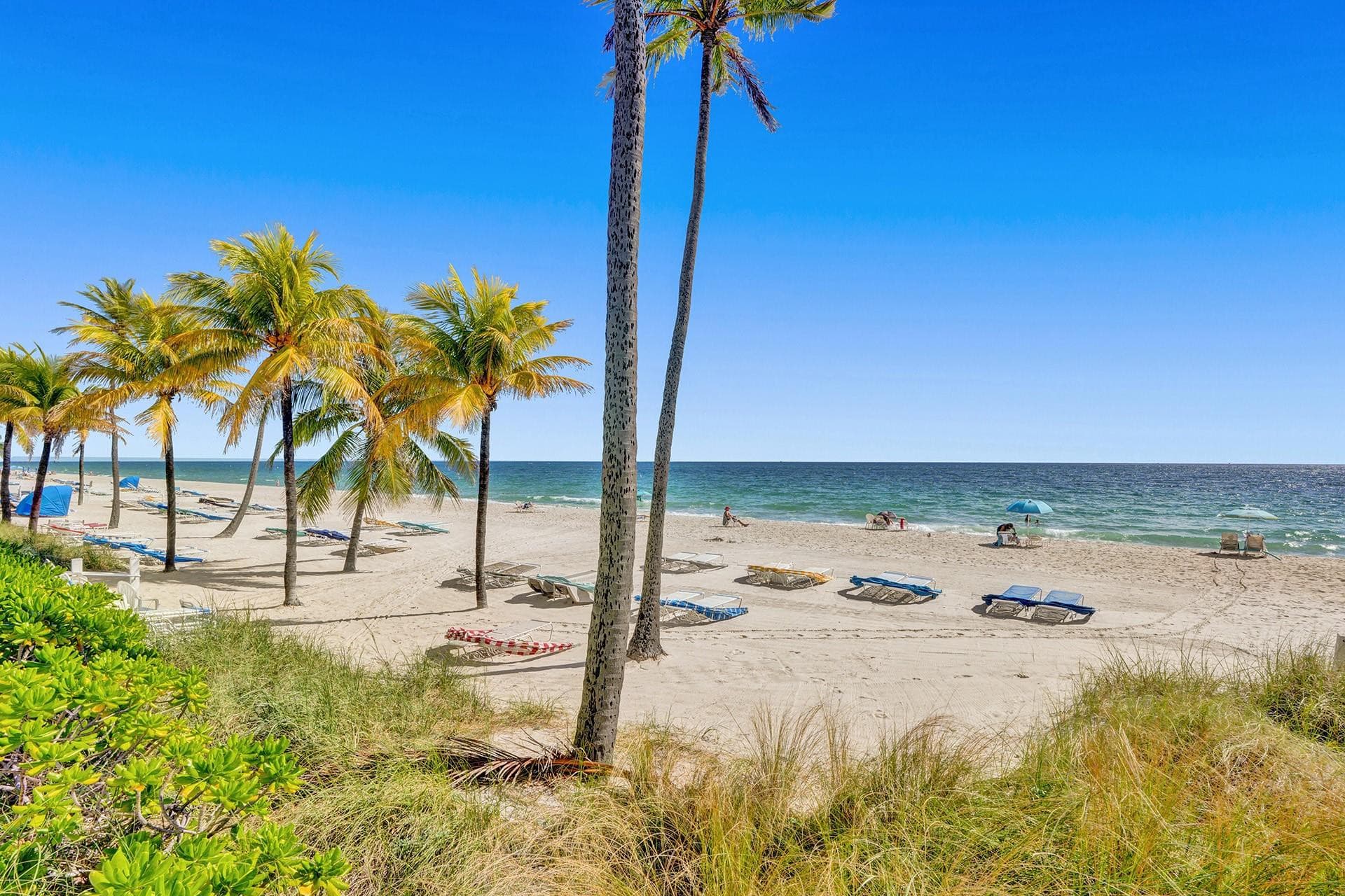 3430 Galt Ocean Drive 410, Fort Lauderdale, FL 33308 — photo 49 of 53