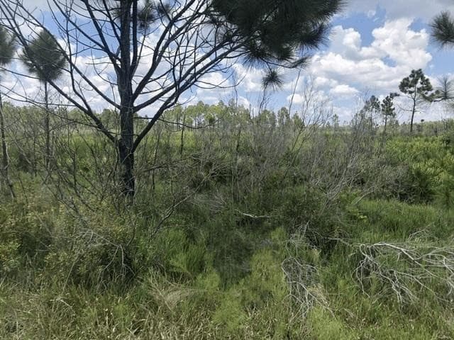0 Xeriscape Nursery Road, Frostproof, FL 33843 — photo