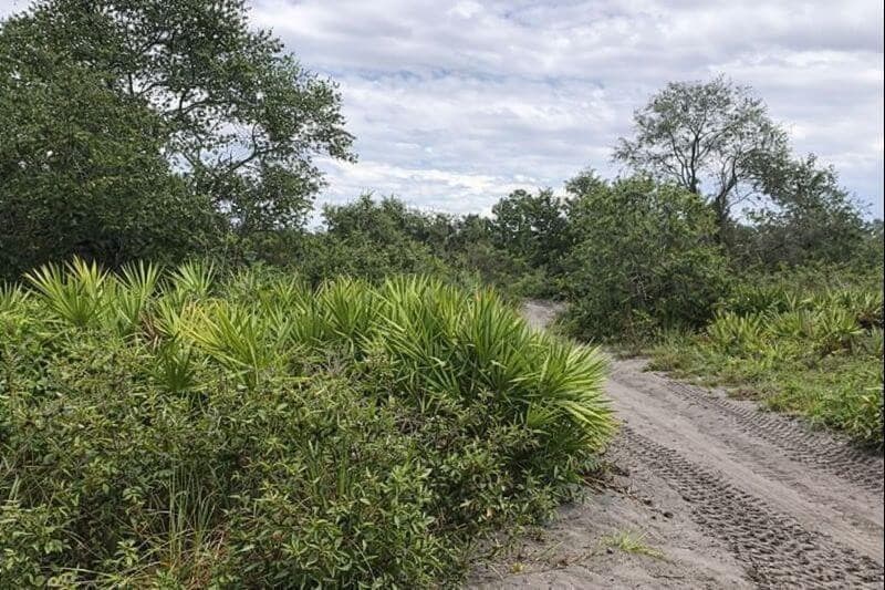 0 Alturas Babson Park Cutoff Road, Lake Wales, FL 33859 — photo