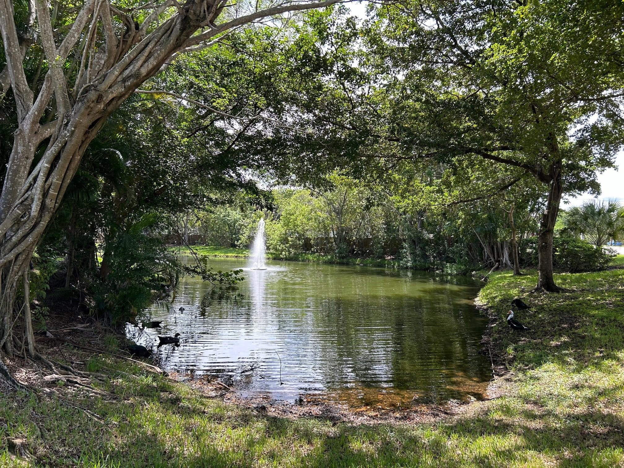 9999 Summerbreeze Drive 105, Sunrise, FL 33322 — photo 1 of 37