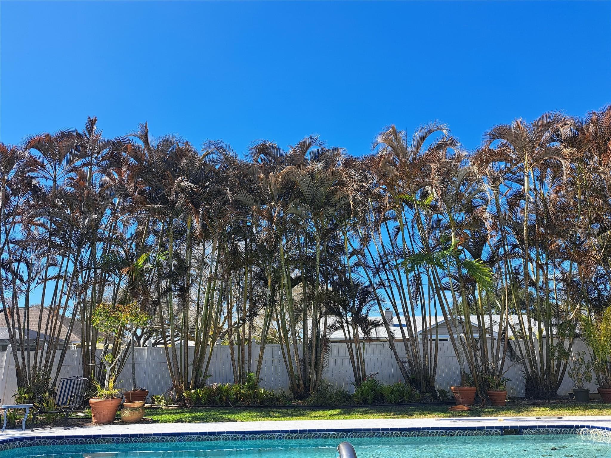 155 31st Avenue, Vero Beach, FL 32968 — photo 49 of 50