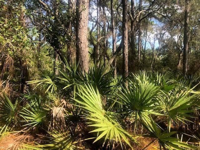 0 Old Grade Road, FL 33868 — photo 1 of 3