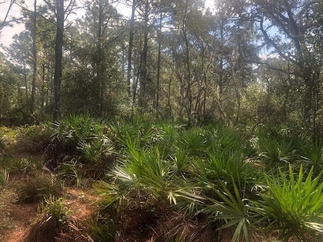 0 Old Grade Road, FL 33868 — photo 2 of 3