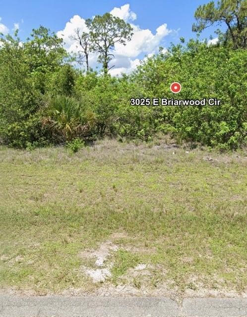 3025 E Briarwood Circle, LaBelle, FL 33935 — photo 5 of 8