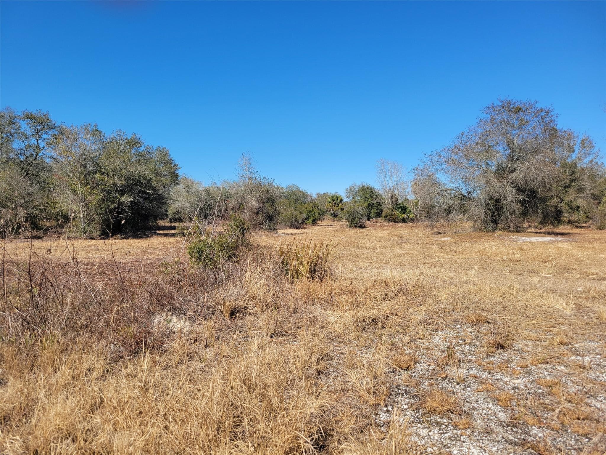 21335 270th Street, Okeechobee, FL 34972 — photo 4 of 5