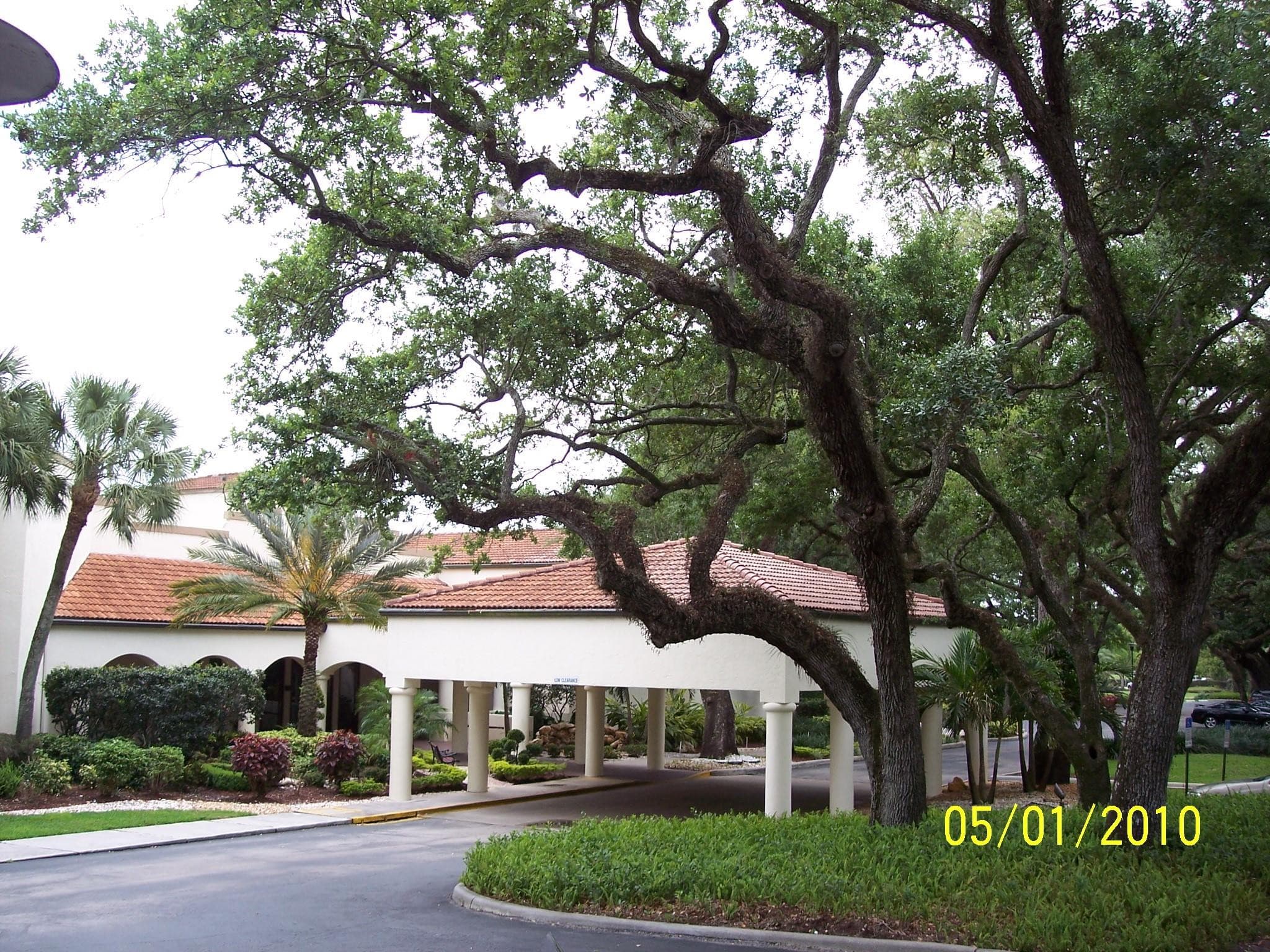 9531 Seagrape Drive 205, Davie, FL 33324 — photo 4 of 99