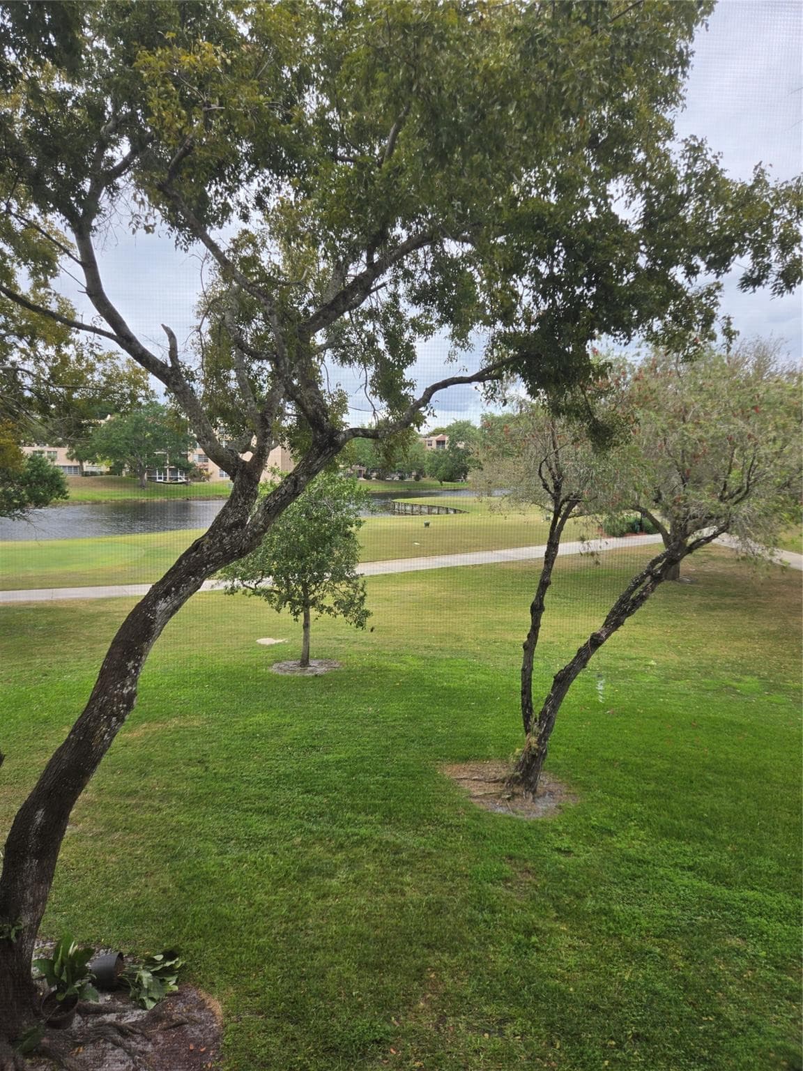 9531 Seagrape Drive 205, Davie, FL 33324 — photo 37 of 99