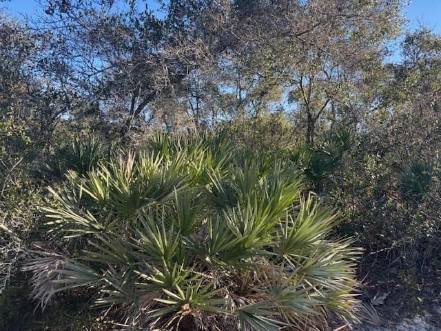 2280 93rd Court, Vero Beach, FL 32966 — photo 3 of 4