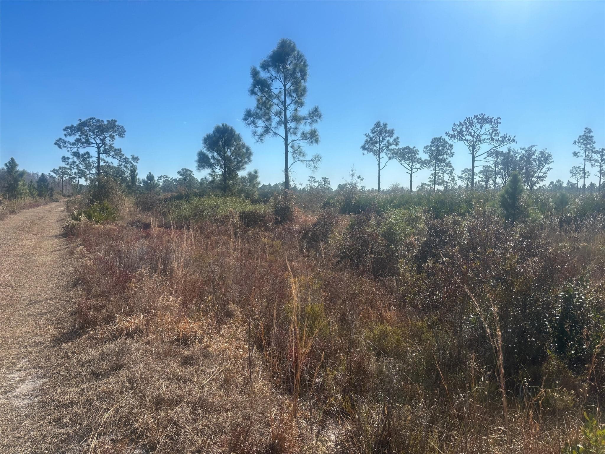 0 Xeriscape Nursery Road, Frostproof, FL 33898 — photo
