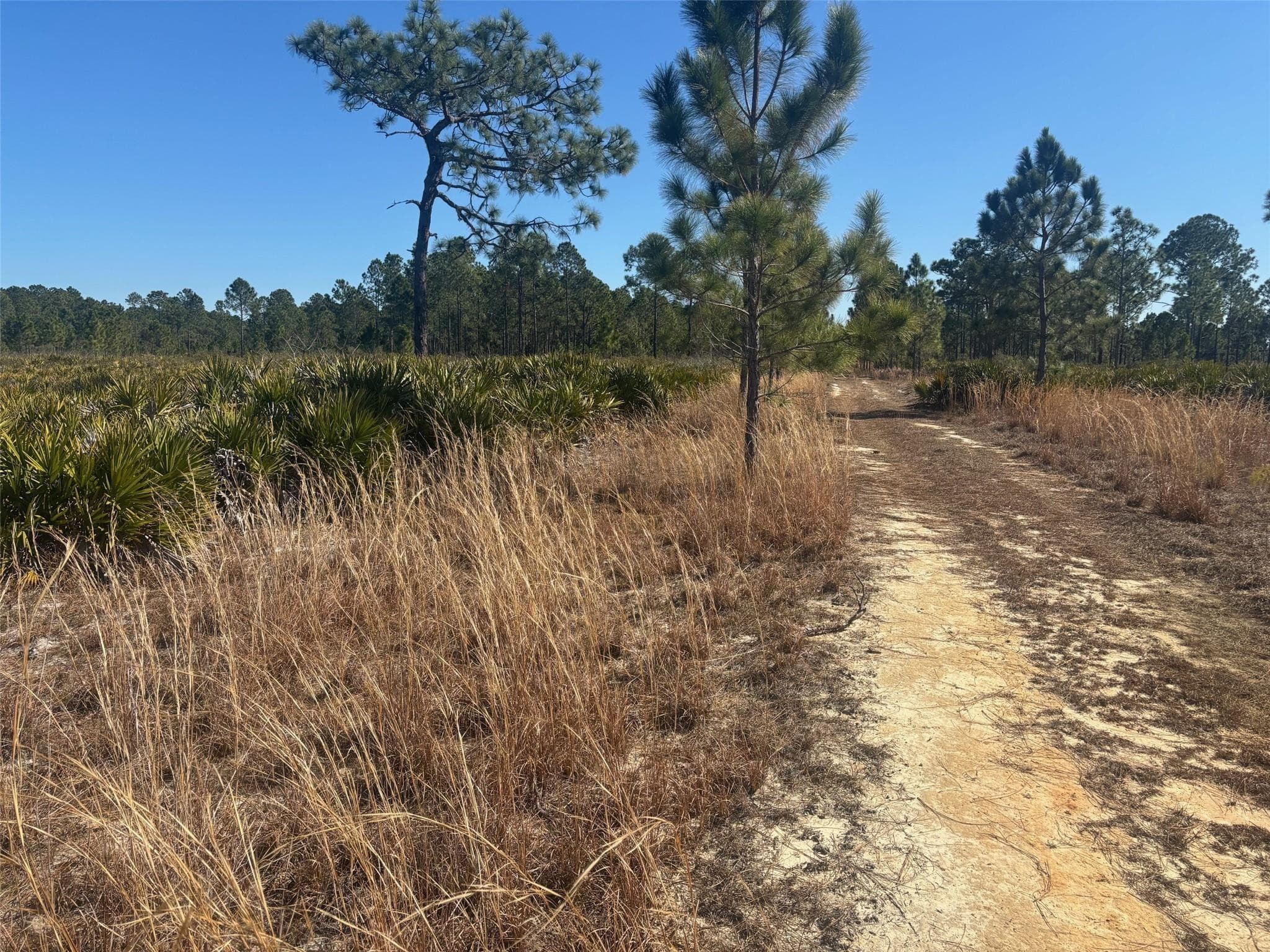 0 Xeriscape Nursery Road, Frostproof, FL 33843 — photo 2 of 3