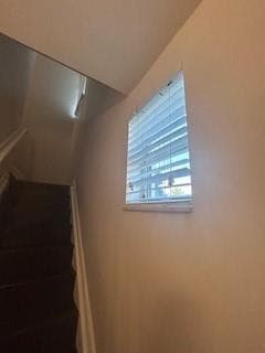 2337 Vintage Drive, Lighthouse Point, FL 33064 — photo 23 of 41