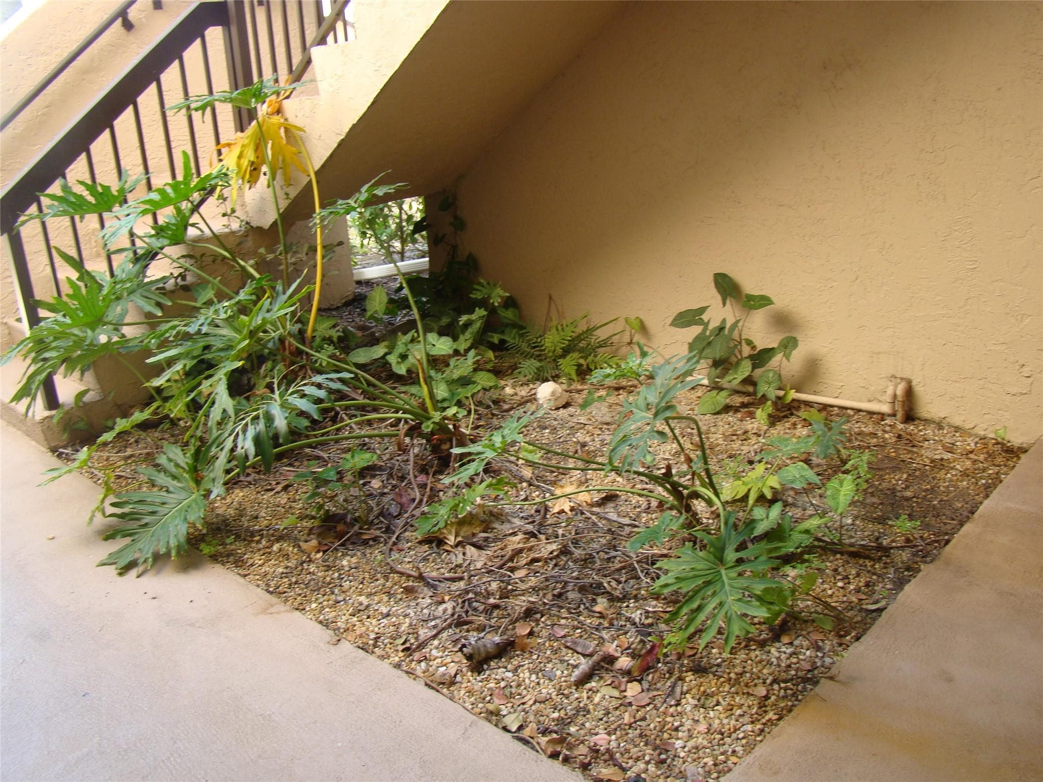 2636 Carambola Circle 1722, Coconut Creek, FL 33066 — photo 10 of 45