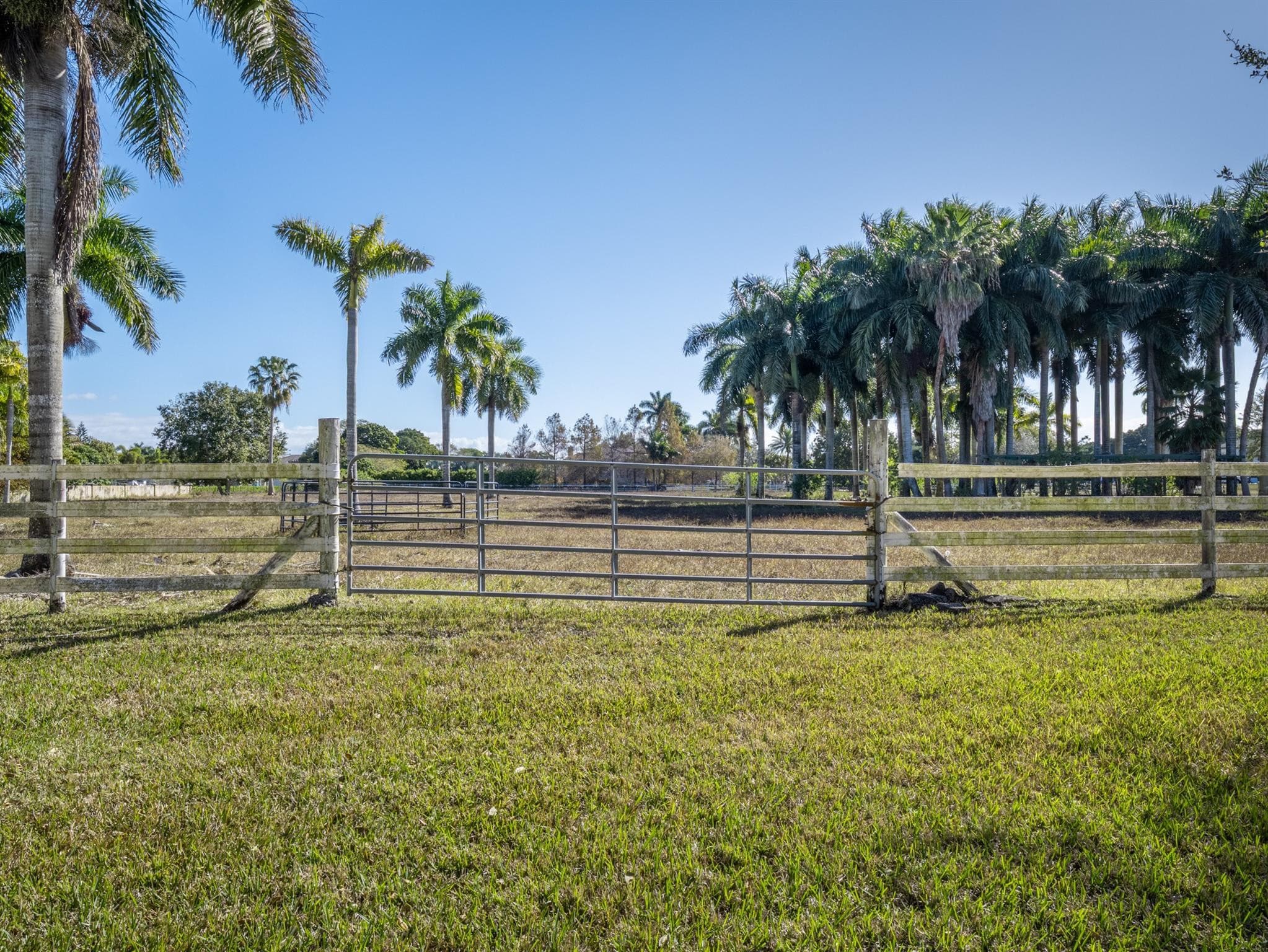 17701 SW 54 Street, Southwest Ranches, FL 33331 — photo 15 of 18