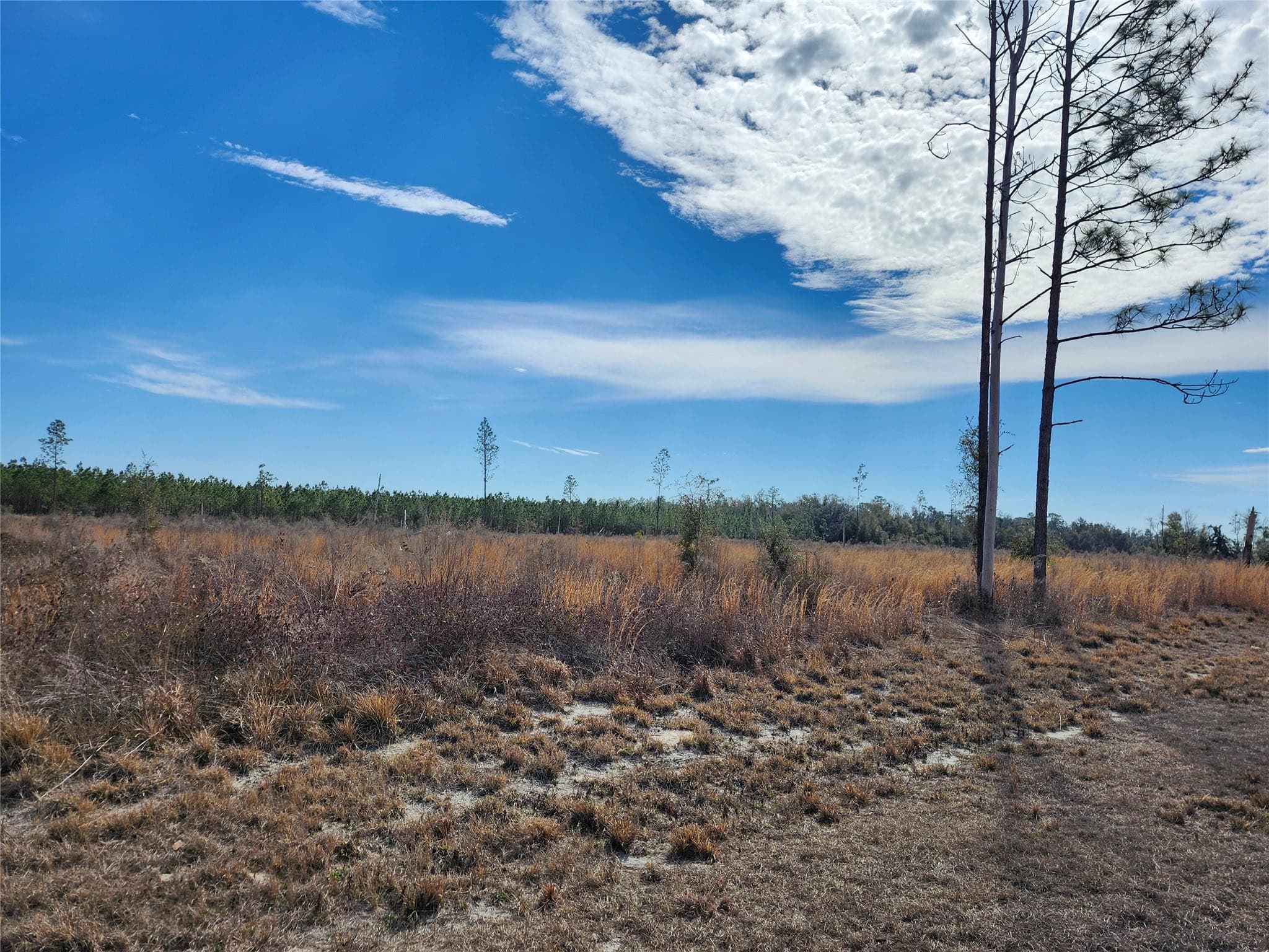 Lot 50 Fl-50, Live Oak, FL 32060 — photo 3 of 9