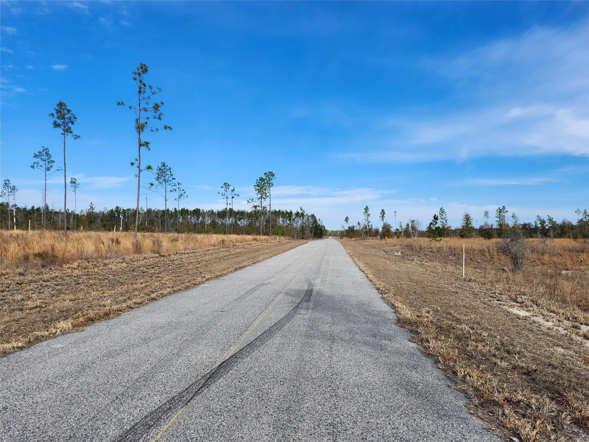 Lot 50 Fl-50, Live Oak, FL 32060 — photo 5 of 9